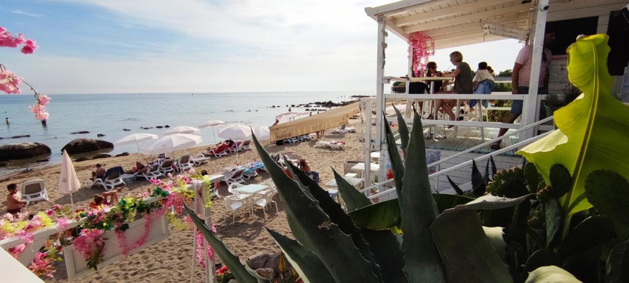 App Oleander Apartman Umag Kültér fotó